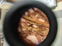 Plagiobothrys scouleri var. hispidulus image